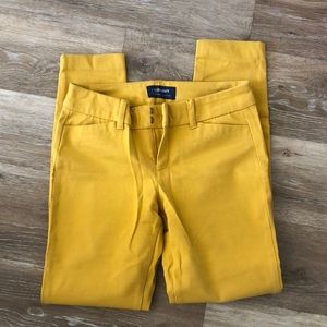 Mustard Yellow pixie Pants